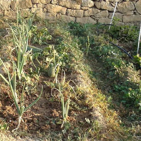 Vil·la Charming In Llobera With Private Pool Llanera (Catalonia)